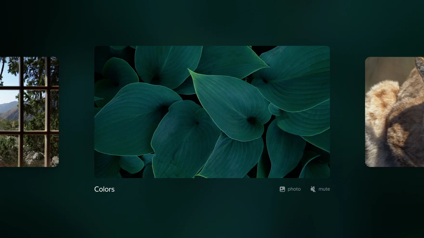 Mute set with photos