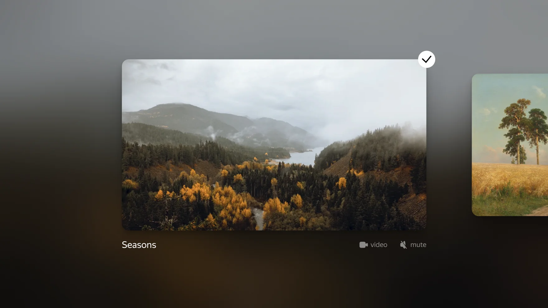 Mute set with videos